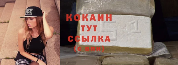 хмурый Горно-Алтайск