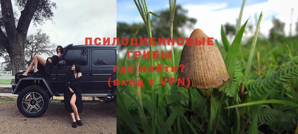 хмурый Горно-Алтайск