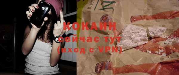 эйфоретик Горняк