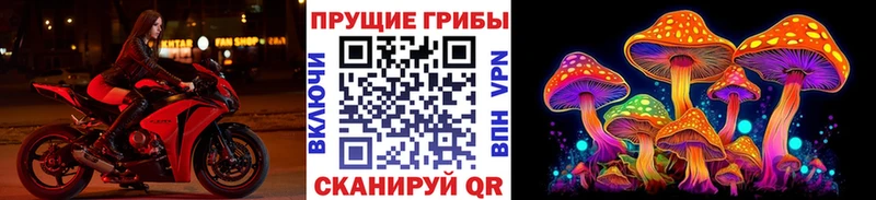 Галлюциногенные грибы Magic Shrooms  Купить закладки  Сибай 
